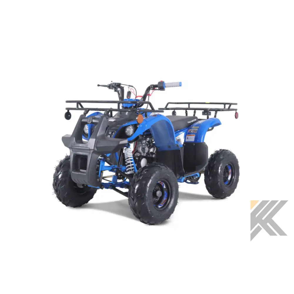 Tao Tao D125 Children's ATV, 4-Stroke 125cc Kryptex Golf Carts