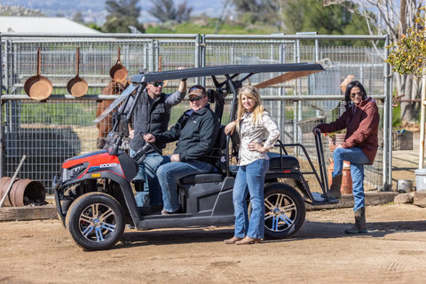 Trailcross 250 EFI Golf Cart