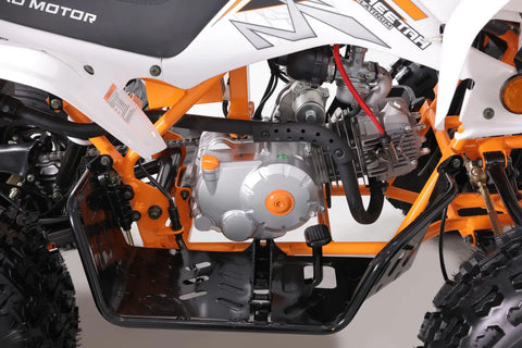 Tao Tao Cheetah Platinum Children’s ATV 4 Stroke 125cc