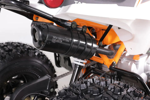 Tao Tao Cheetah Platinum Children’s ATV 4 Stroke 125cc