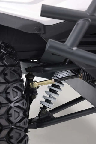 Tao Champ Electric Golf Cart