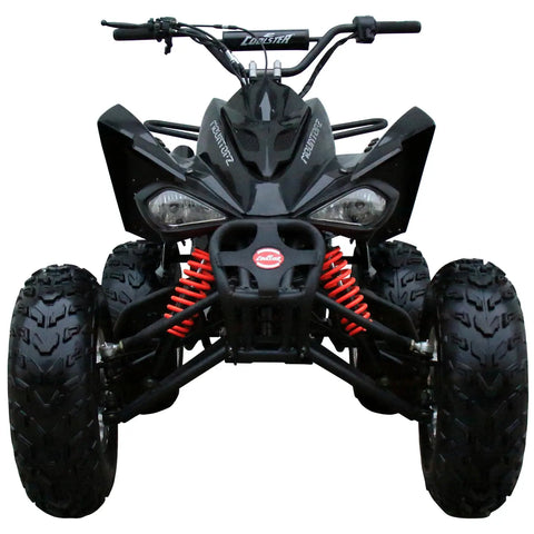 Victory 450 EFI 4X4 UTV