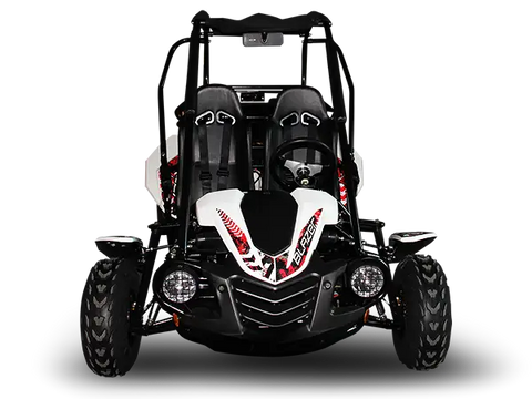 Trailmaster Blazer 200 Adult Go Kart Buggy