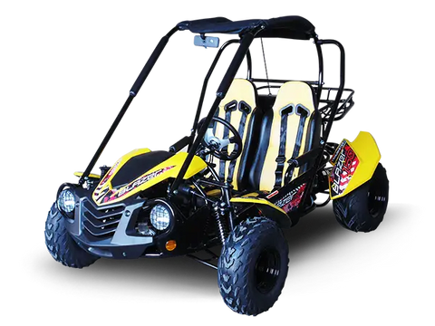 Trailmaster Blazer 200 Adult Go Kart Buggy
