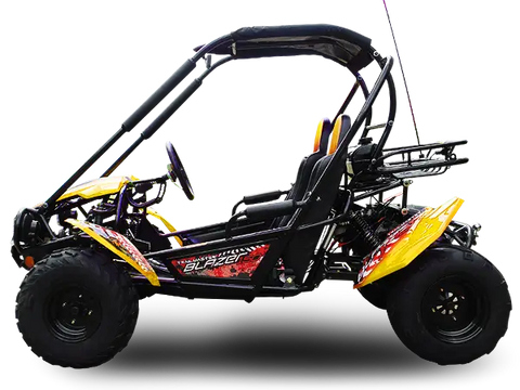 Trailmaster Blazer 200 Adult Go Kart Buggy
