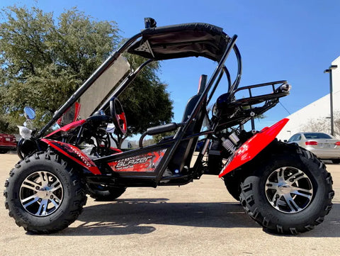 Trailmaster Blazer 200EX EFI Adult Go Kart Buggy