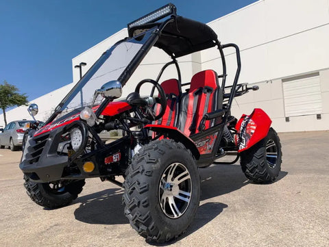 Trailmaster Blazer 200EX EFI Adult Go Kart Buggy