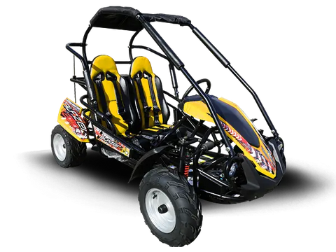 Trailmaster Blazer 200R Youth Go Kart Buggy