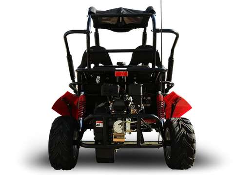 Trailmaster Blazer 200R Youth Go Kart Buggy