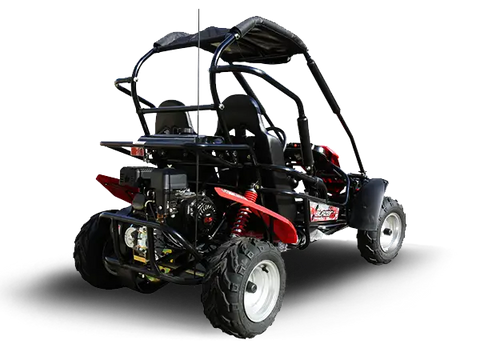 Trailmaster Blazer 200R Youth Go Kart Buggy