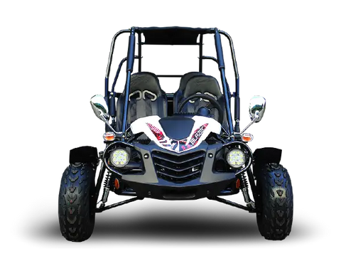 Trailmaster Blazer4 200X Adult Go Kart Buggy