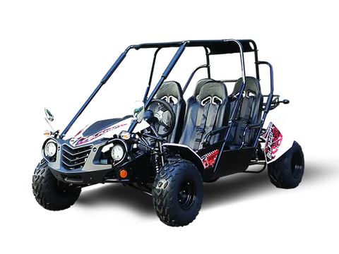 Trailmaster Blazer4 200X Adult Go Kart Buggy