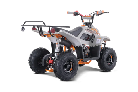 Tao Tao Boulder 110 Children’s ATV 4 Stroke 110cc