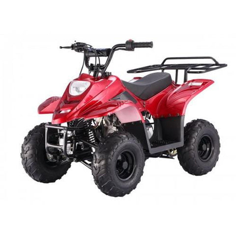 Tao Tao B110 Children’s ATV 4 Stroke 110cc