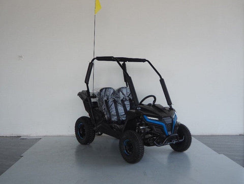 Trailmaster Cheetah 6 Children’s Go Kart Buggy 4 Stroke 163cc