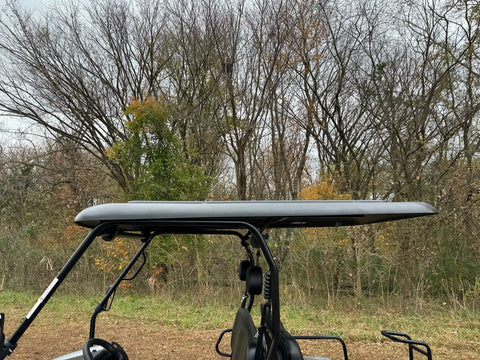 Trailmaster Taurus 50EV Electric Golf Cart