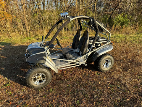 Dongfang Raptor Adult Go-Kart Buggy DF200GKR Big Bore 200 PowerStroke