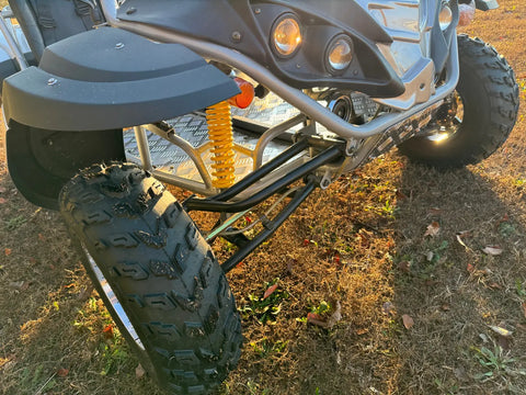 Dongfang Raptor Adult Go-Kart Buggy DF200GKR Big Bore 200 PowerStroke