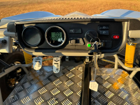 Dongfang Raptor Adult Go-Kart Buggy DF200GKR Big Bore 200 PowerStroke