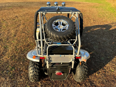 Dongfang Raptor Adult Go-Kart Buggy DF200GKR Big Bore 200 PowerStroke