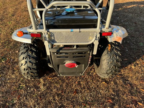 Dongfang Raptor Adult Go-Kart Buggy DF200GKR Big Bore 200 PowerStroke