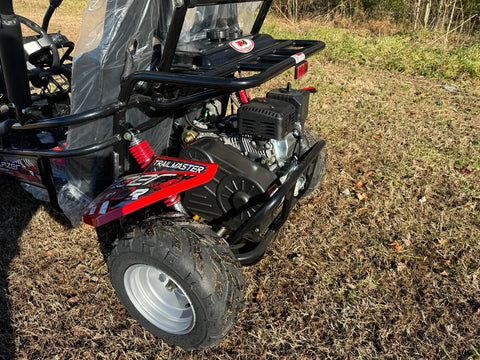 Trailmaster Blazer 200R Youth Go Kart Buggy