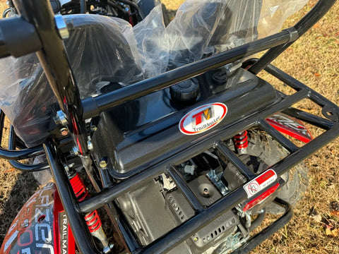 Trailmaster Blazer 200R Youth Go Kart Buggy