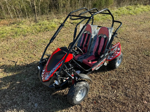 Trailmaster Blazer 200R Youth Go Kart Buggy