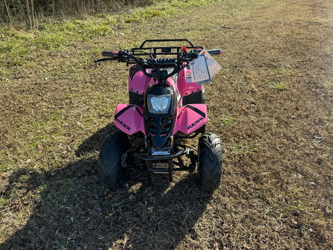 VTT Banshee Mini Sport pour enfants - 6 pouces, 4 temps, 110 cm³