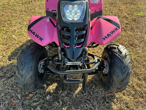 VTT Banshee Mini Sport pour enfants - 6 pouces, 4 temps, 110 cm³