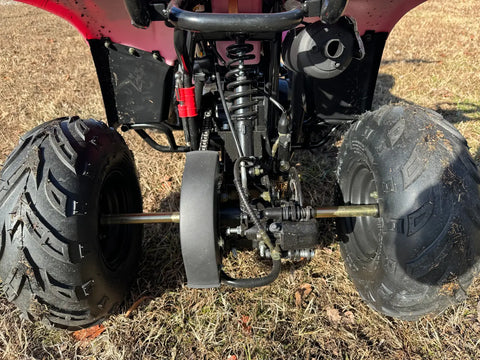 VTT Banshee Mini Sport pour enfants - 6 pouces, 4 temps, 110 cm³