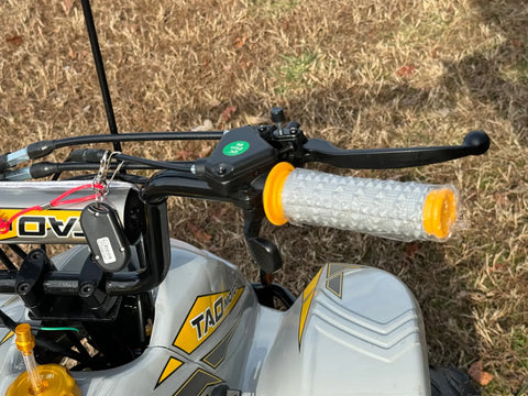 Tao Tao Boulder 110 Children’s ATV 4 Stroke 110cc