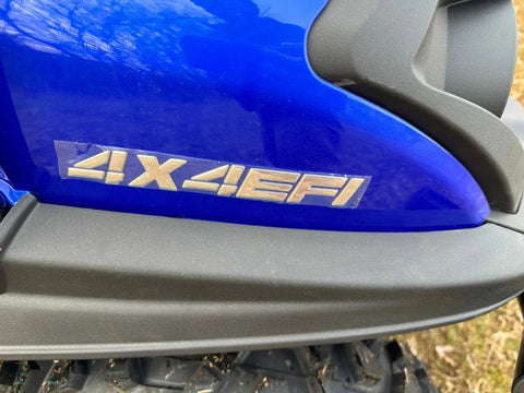 TrailMaster Taurus 450GX EFI 4X4 Golf Cart