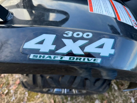 Terminator 300 EFI Adult Four Wheeler ATV 4x4