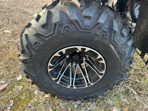 Terminator 300 EFI Adult Four Wheeler ATV 4x4