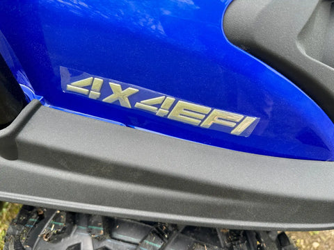 TrailMaster Taurus 450GV EFI 4X4 Golf Cart