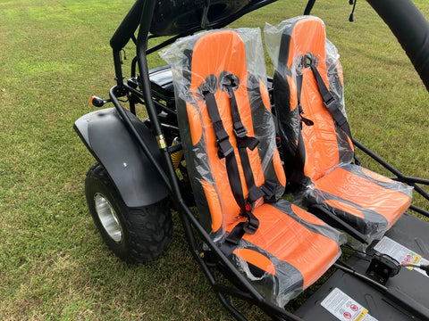 BDX Racer 250RX Adult Go-Kart Buggy