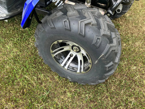 Buggy de karting Trailmaster Blazer 200X pour adulte