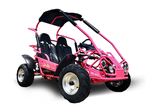 Trailmaster Mid XRX/R + Youth Go Kart Buggy