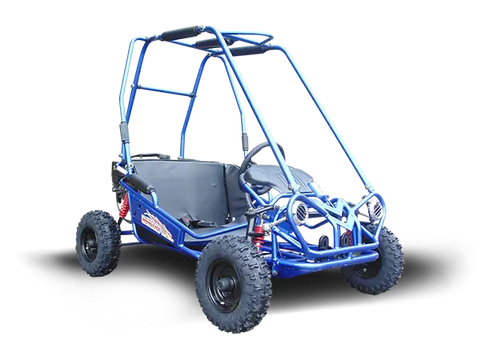 Trailmaster Mini XRS + Children’s Go Kart Buggy 4 Stroke 163cc
