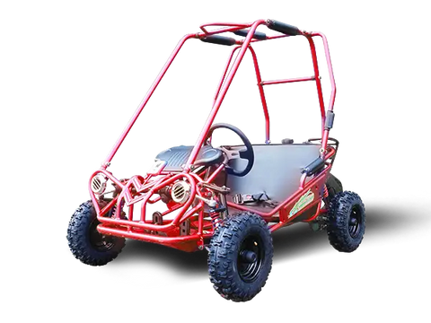 Trailmaster Mini XRS + Children’s Go Kart Buggy 4 Stroke 163cc
