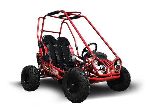 Trailmaster Mini XRX + Children’s Go Kart Buggy 4 Stroke 163cc