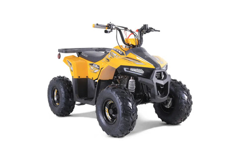 Tao Tao Rival Mudhawk 6 Children’s ATV 4 Stroke 110cc