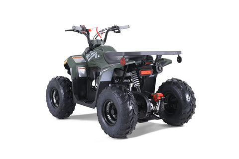 Tao Tao Rival Mudhawk 6 Children’s ATV 4 Stroke 110cc