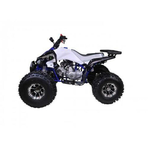Tao Tao Cheetah Children’s ATV 4 Stroke 125cc