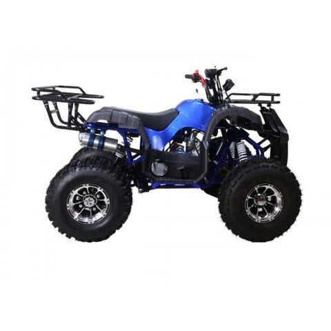 Tao Tao New T Force 125 Children’s ATV 4 Stroke 125cc