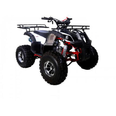 Tao Tao New T Force 125 Children’s ATV 4 Stroke 125cc