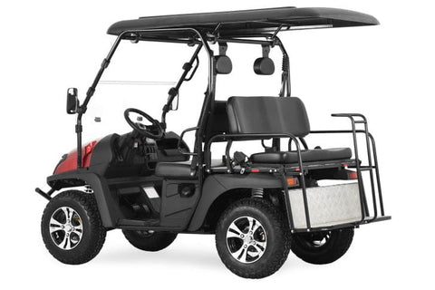 Trailmaster Taurus 200GX EFI Golf Cart