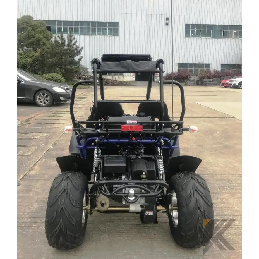 Trailmaster 200 XRX EFI Adult Go-Kart Buggy Kryptex Golf Carts