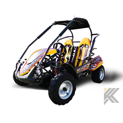 Trailmaster Blazer 200R Youth Go-Kart Buggy Kryptex Golf Carts